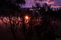 view--purple sunset Rawangi, East Africa, Tanzania, Africa
