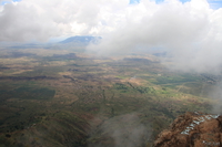 view--irenet point in mist Mtae, Ushoto, East Africa, Tanzania, Africa