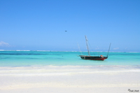 view--matemwe beach Zanzibar, East Africa, Tanzania, Africa