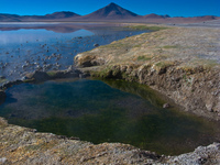 view--pool of laguna colorada Laguna Colorado, Potosi Department, Bolivia, South America