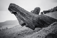 Titlted Moai of Rano Raraku Isla de Pascua,  Región de Valparaíso,  Chile, South America
