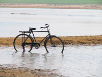 041227122724_bicycle_in_chambal_river