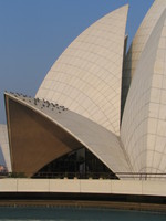 050105160236_lotus_temple_and_the_pigeons
