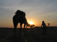 041208034604_sunset_camel_and_the_trainer