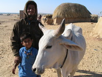 041211205146_father_and_son_and_cow