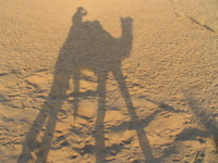 041208031250_shadow_of_the_camel