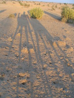 041213035214_shadow_of_the_camels