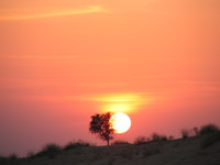 041208040236_desert_sunset_in_bikaner