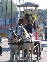 041206005636_horse_cart_in_haridwar