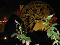 002_water_wheel_from_the_park