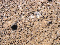 016_sands_and_rocks