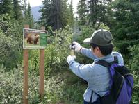 07170052_attack_by_bear_sign