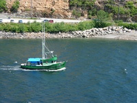 06170036_green_boat