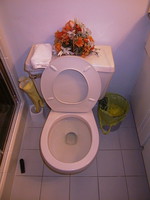 my_toilet