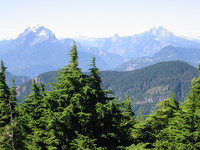 1161607_trees_and_moutains