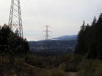 014_the_power_line_trail