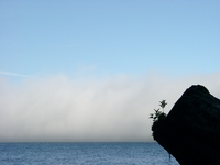 06260032_fogs_of_thrasher_cove