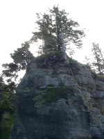 06230015_trees_on_top