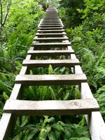 06250011_longest_ladder_at_logan_creek