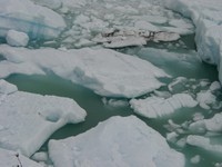 11160036_ice_in_glacier_lake