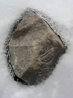 11190020_rock_in_ice