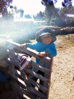 007_little_girl_playing_the_gate