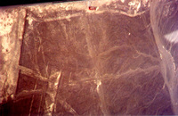 008_nazca_lines_-_tree_and_hands
