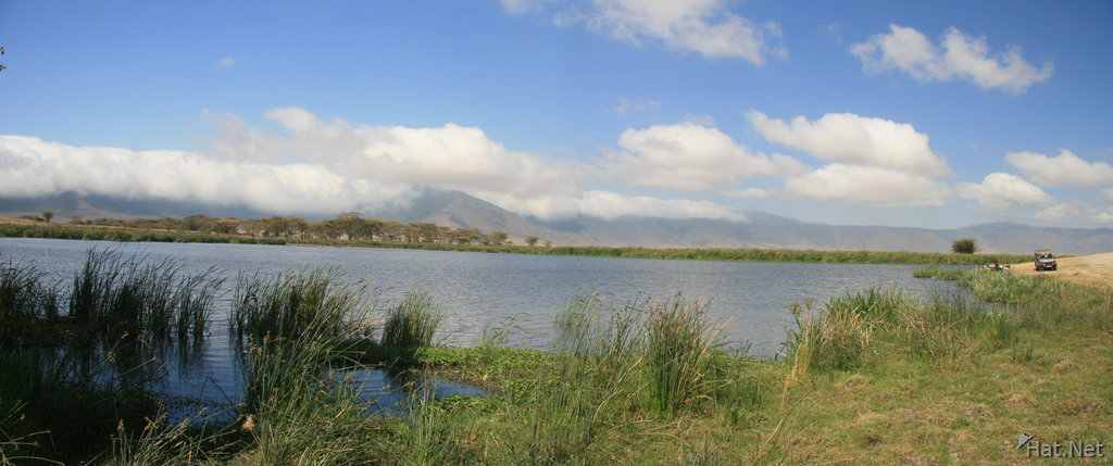 swamp of ngorongoro