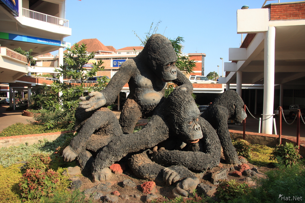 chimps island in shopping mall