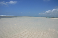 beach island Diani Beach, East Africa, Kenya, Africa