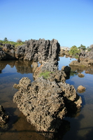 coral rock Shimoni, East Africa, Kenya, Africa
