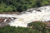 murchison fall hike Murchison Falls, East Africa, Uganda, Africa