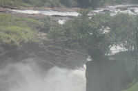 mist of murchison falls Murchison Falls, East Africa, Uganda, Africa