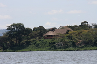 samuka island Jinja, East Africa, Uganda, Africa