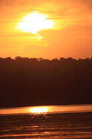 sunset of ssese island Bugala Island, East Africa, Uganda, Africa
