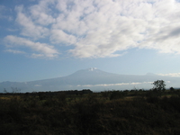 mount kilimanjaro Ushoto, East Africa, Tanzania, Africa