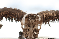 skull on park gate Mwanza, East Africa, Tanzania, Africa