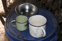 masai cups Serengeti, Ngorongoro, East Africa, Tanzania, Africa