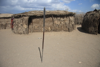 masai spear Serengeti, Ngorongoro, East Africa, Tanzania, Africa