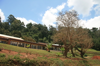 university of tumani Ushoto, East Africa, Tanzania, Africa