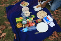 f.picnic lunch at usambara Ushoto, East Africa, Tanzania, Africa