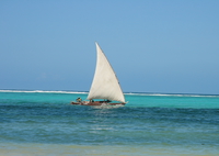 emerald sail Zanzibar, East Africa, Tanzania, Africa