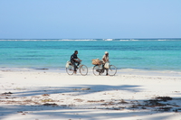 biking on beach Zanzibar, East Africa, Tanzania, Africa