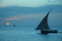 dhow boat sunset Arusha, Zanzibar, East Africa, Tanzania, Africa