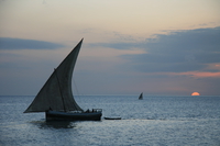 dhow boat sunset Arusha, Zanzibar, East Africa, Tanzania, Africa