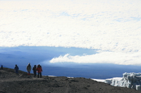 new comers Kilimanjaro, East Africa, Tanzania, Africa
