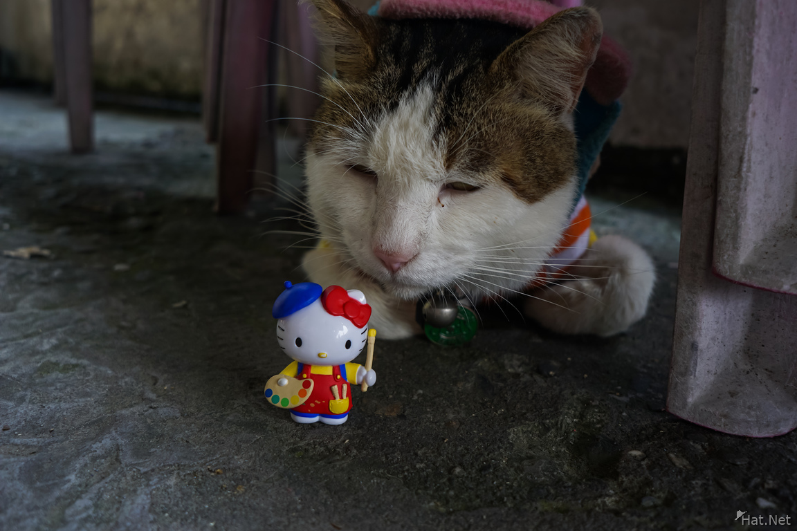 Hello Kitty in houtong cat village