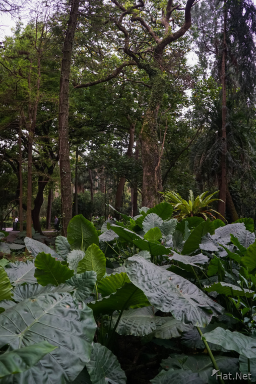 Taipei Botanical Garden