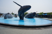 Kenting Aquarium Checheng Township,  Taiwan Province,  Taiwan, Asia