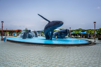 whales Fangliao Township,  Pingtung County,  Taiwan, Asia
